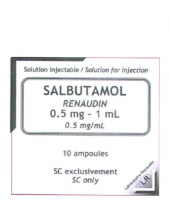 Thuốc Salbutamol Renaudin 5mg/5ml (0,1%) giá bao nhiêu