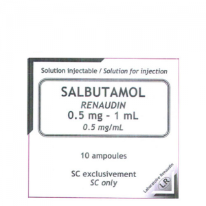 Thuốc Salbutamol Renaudin 5mg/5ml (0,1%) giá bao nhiêu