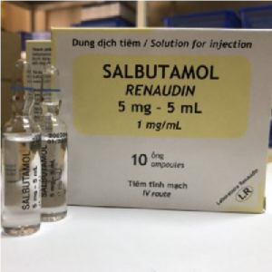 Thuốc Salbutamol Renaudin 5mg/5ml (0,1%) là thuốc gì