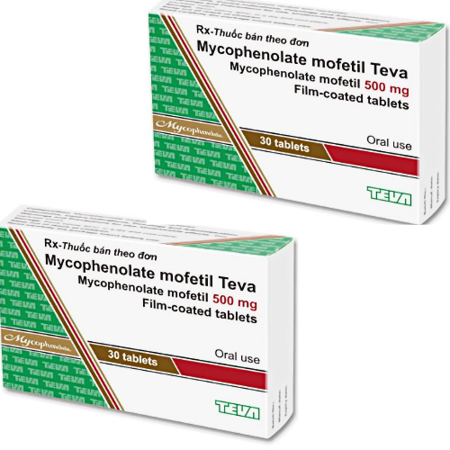 Thuốc Mycophenolate Mofetil Teva giá bao nhiêu