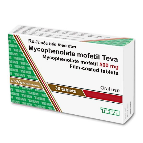 Thuốc Mycophenolate Mofetil Teva là thuốc gì