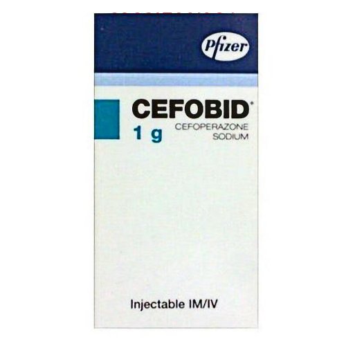 Thuốc Cefobid là thuốc gì