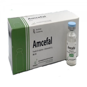 Thuốc Amcefal 2g là thuốc gì