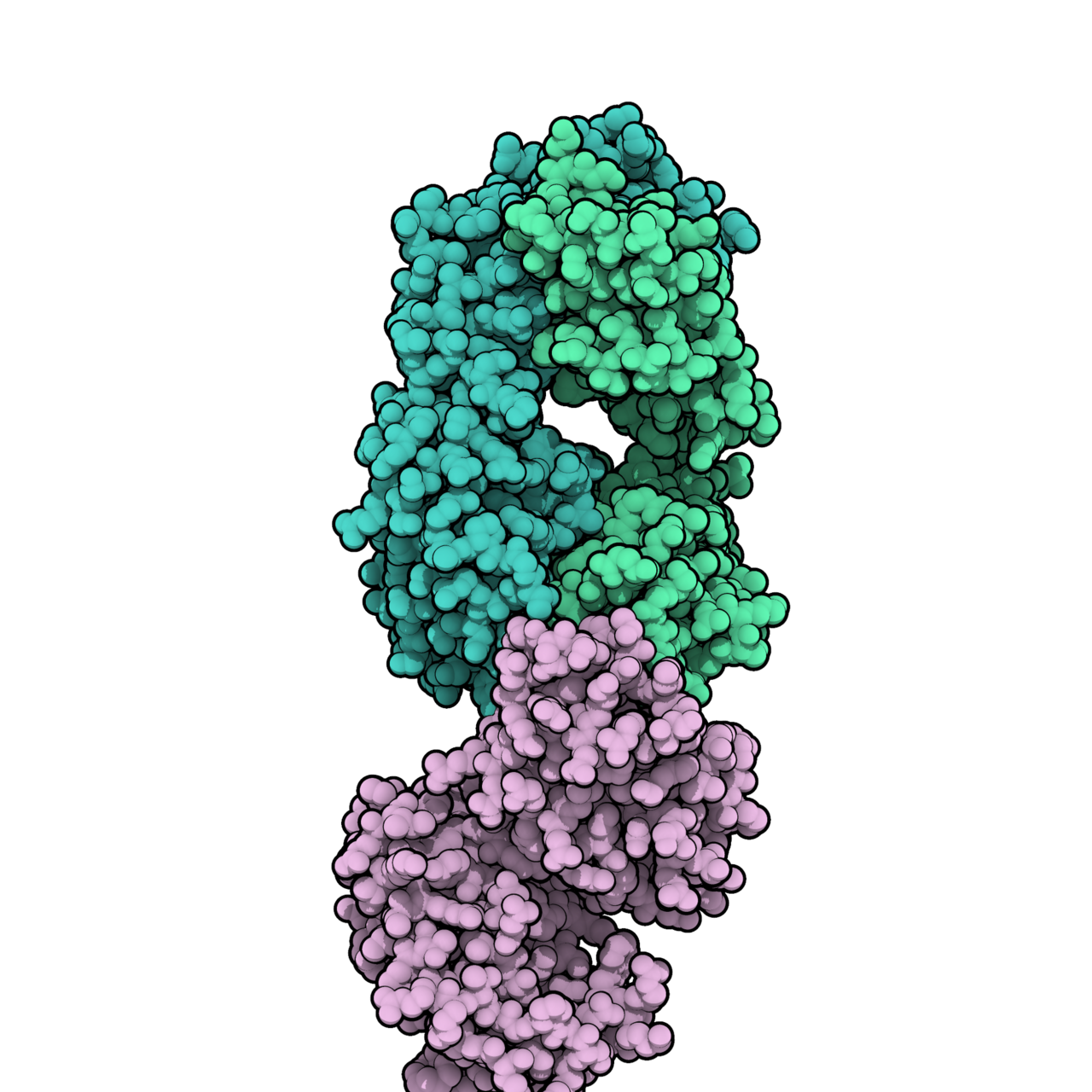 Daratumumab