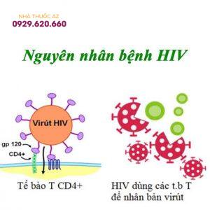 Nguyên-nhân-bệnh-HIV