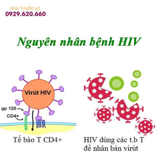 Nguyên-nhân-bệnh-HIV