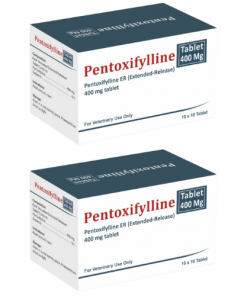 Thuốc Pentoxifylline giá bao nhiêu