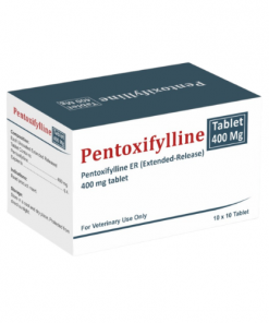 Thuốc Pentoxifylline là thuốc gì