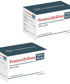 Thuốc Pentoxifylline mua ở đâu