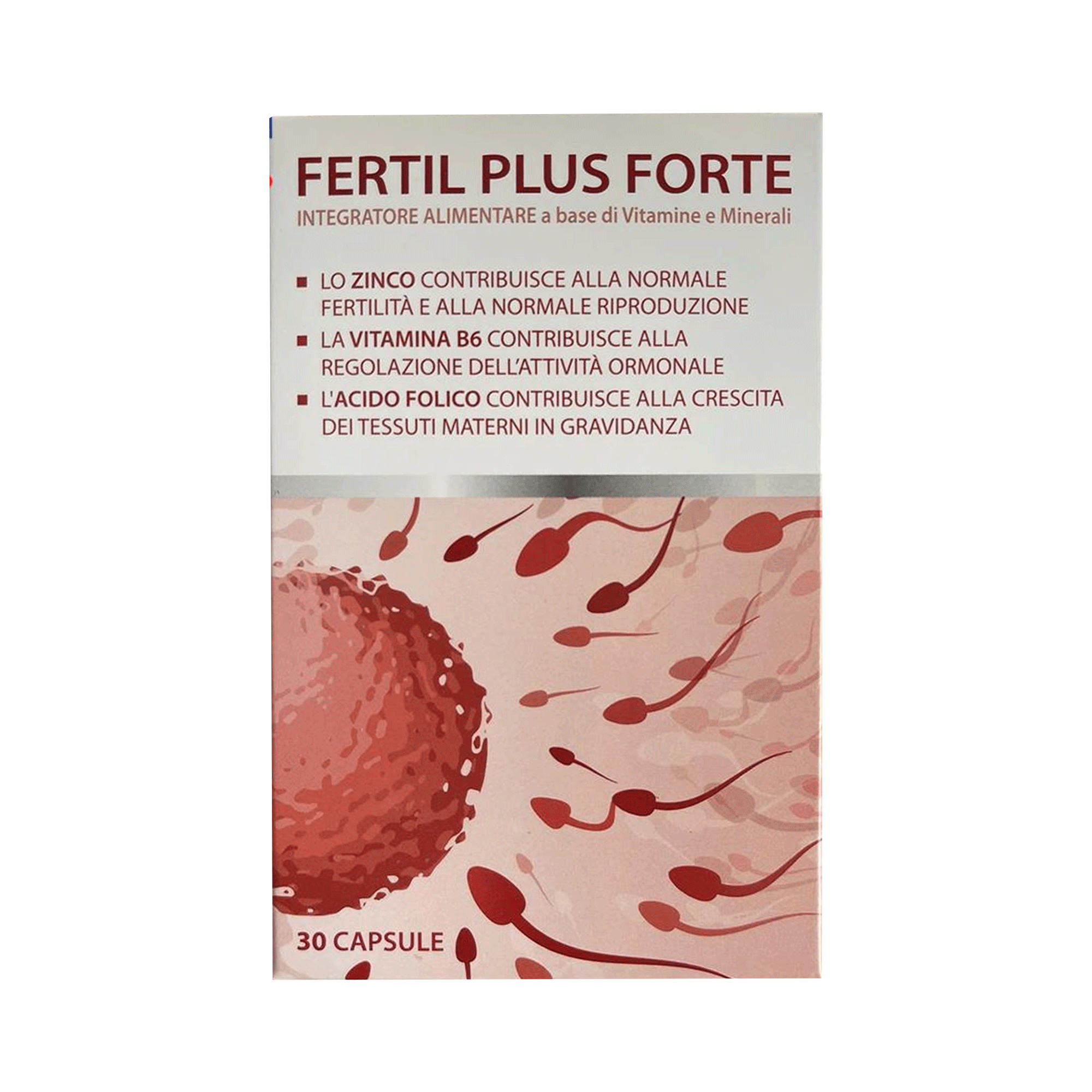 Fertil-plus-forte-la-thuoc-gi