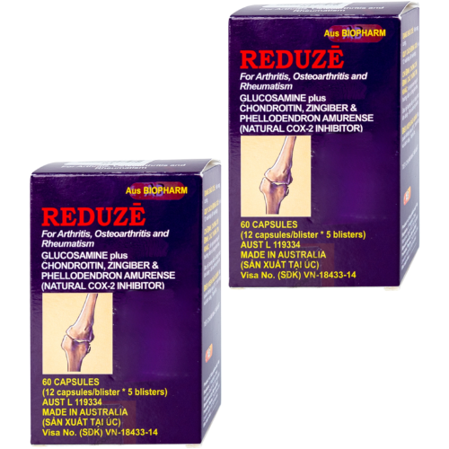 Thuốc Reduze – Glucosamine – Công dụng, liều dùng, giá bán?