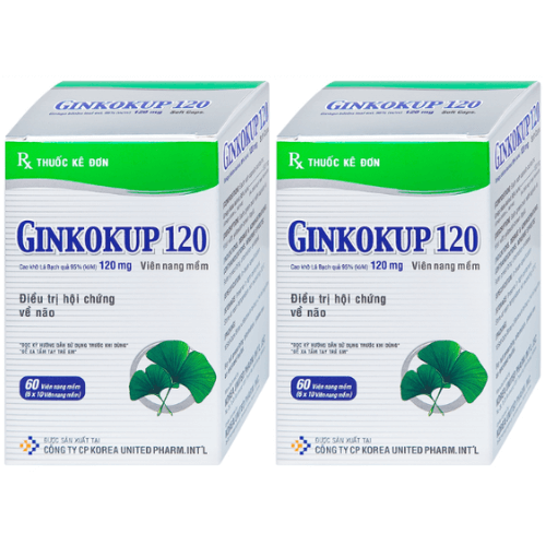 Thuốc Ginkokup 120 – Công dụng, liều dùng, giá bán?