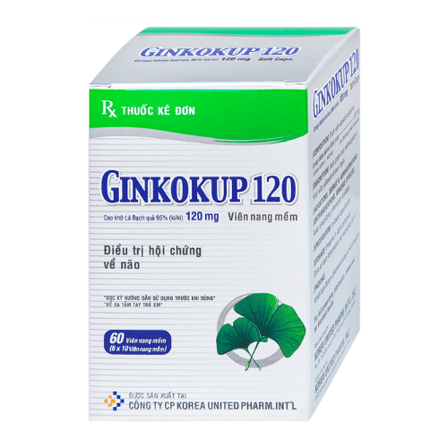 Thuốc Ginkokup 120 là thuốc gì