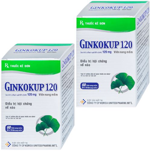 Thuốc Ginkokup 120 – Công dụng, liều dùng, giá bán?